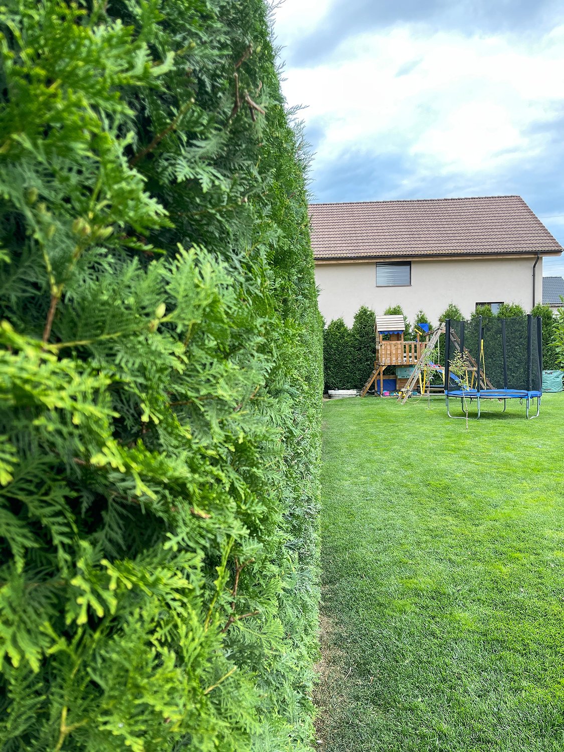 Lucrare peisagistică corporativă – FitGarden Alba