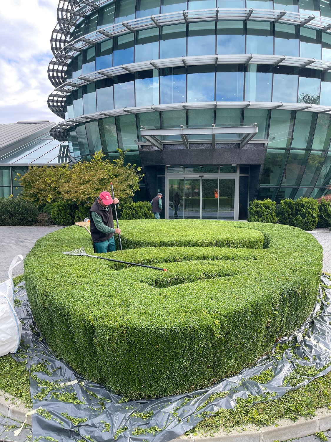 Grădină amenajată - FitGarden Alba