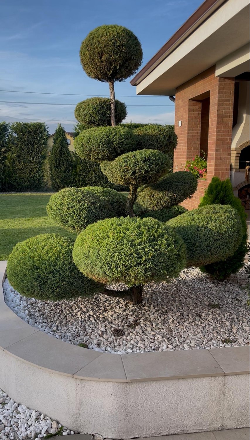 După amenajare – FitGarden Alba