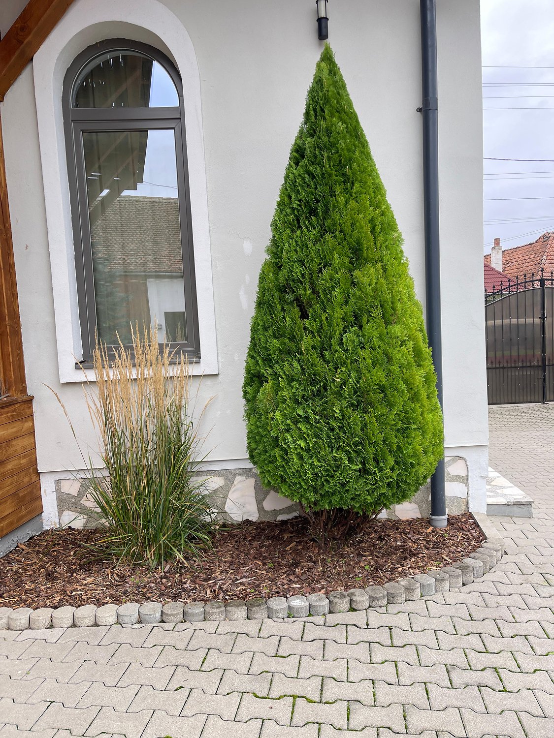 Toaletare arbuști – FitGarden Alba